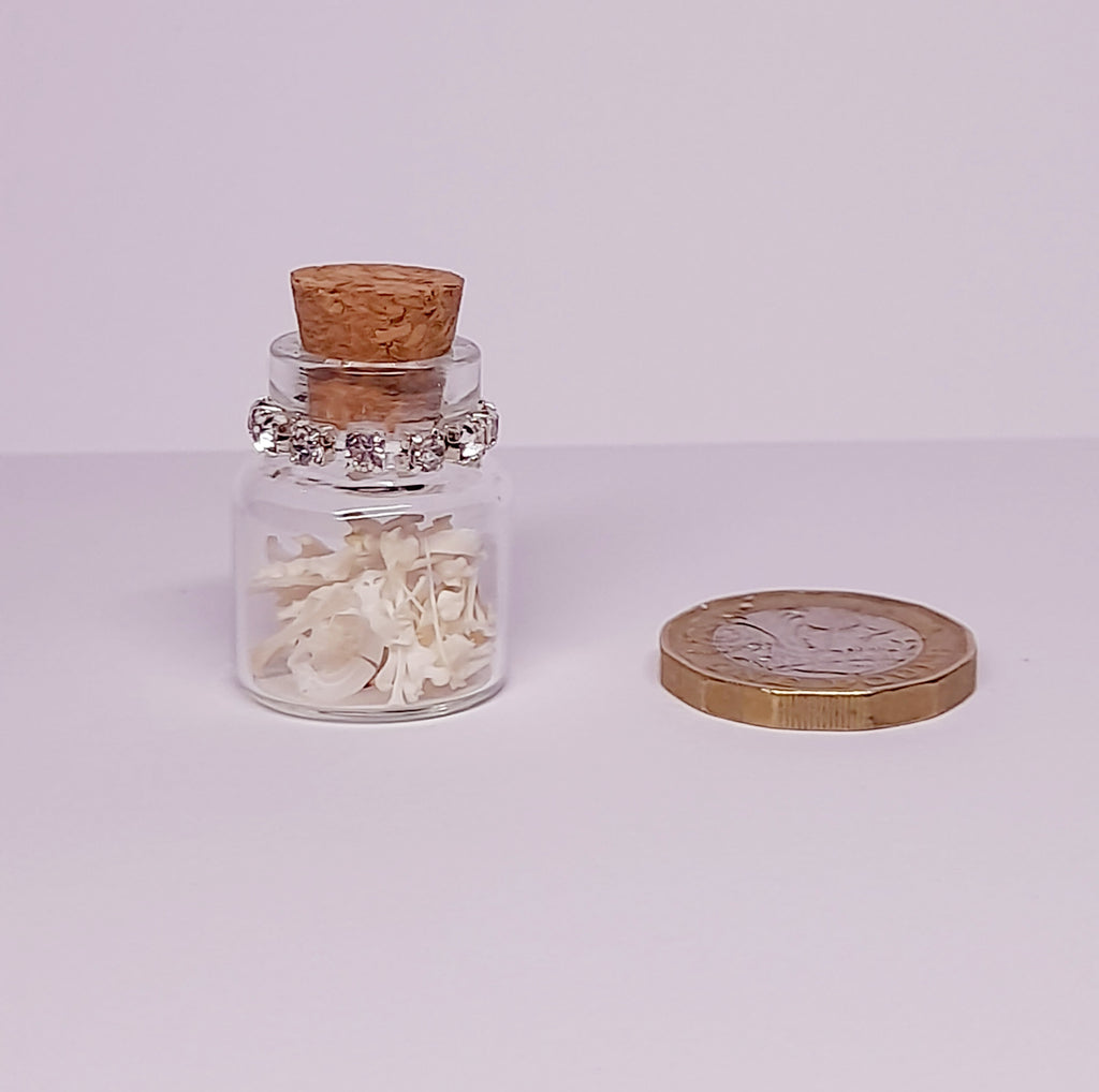 Rodent Bones In Bottle