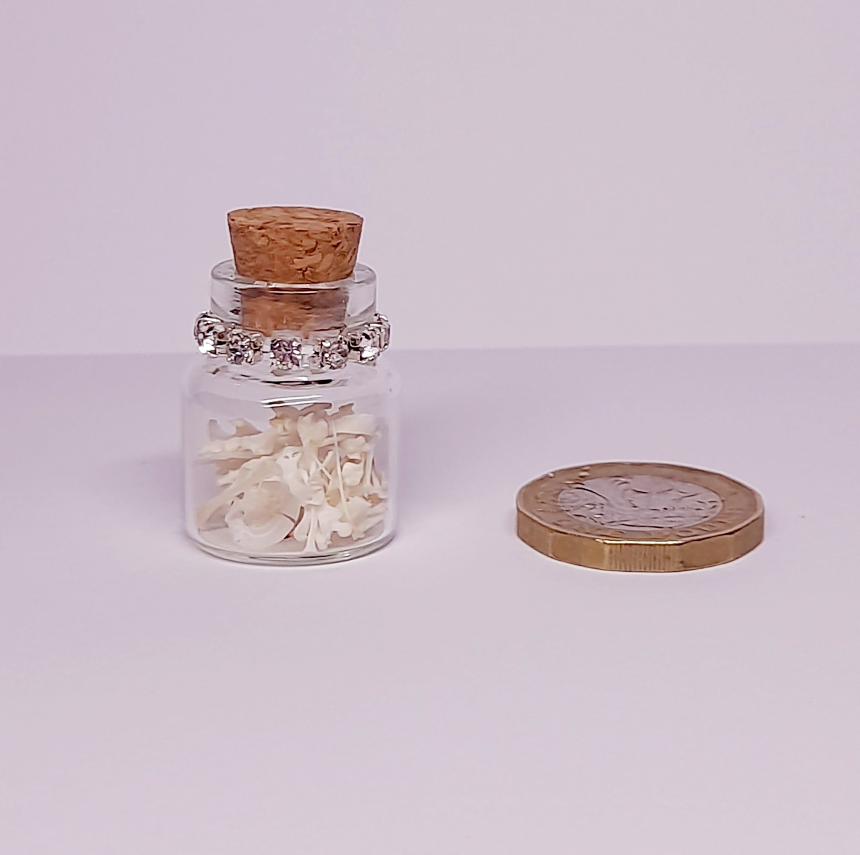 Rodent Bones In Bottle