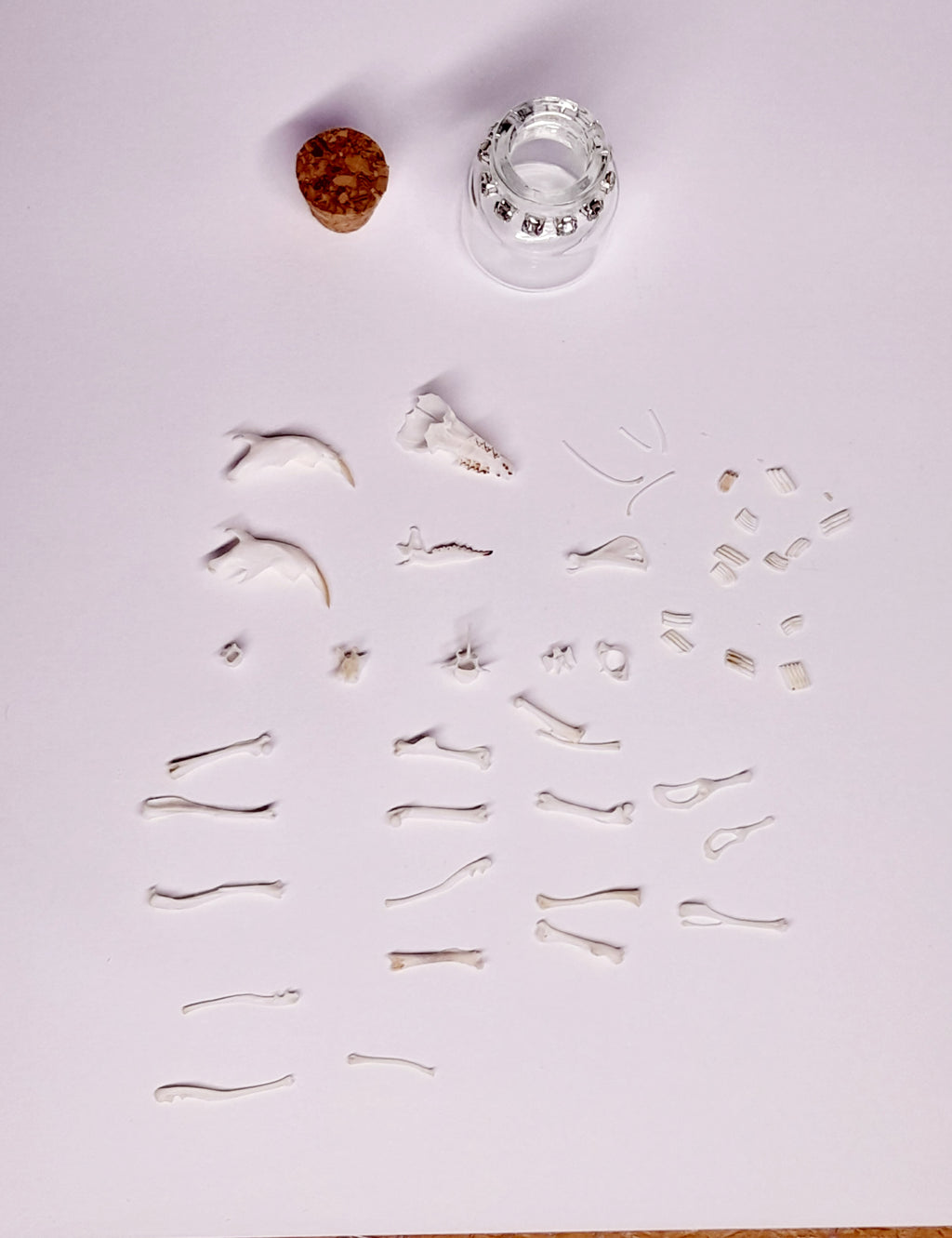Rodent Bones In Bottle