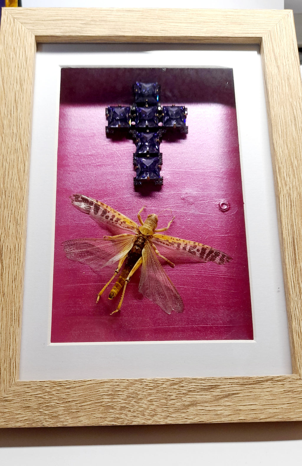Real Locust With Cross Frame