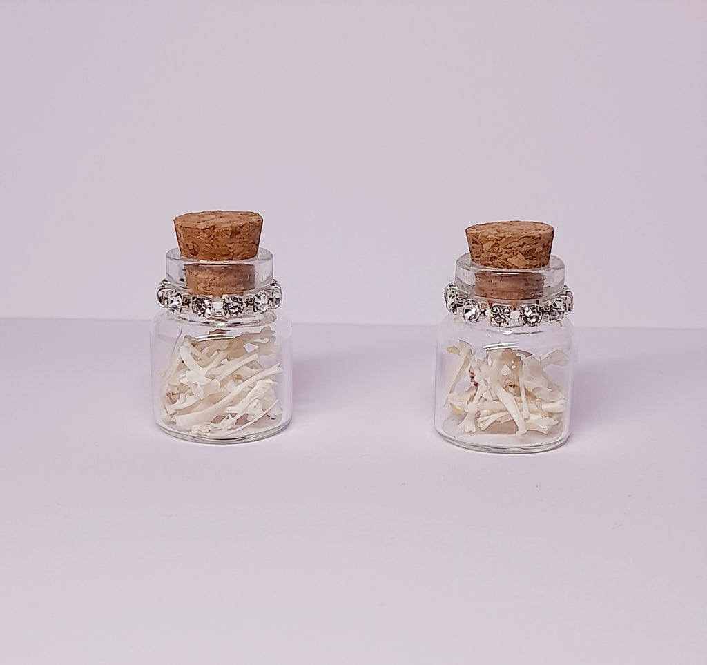 Rodent Bones In Bottle