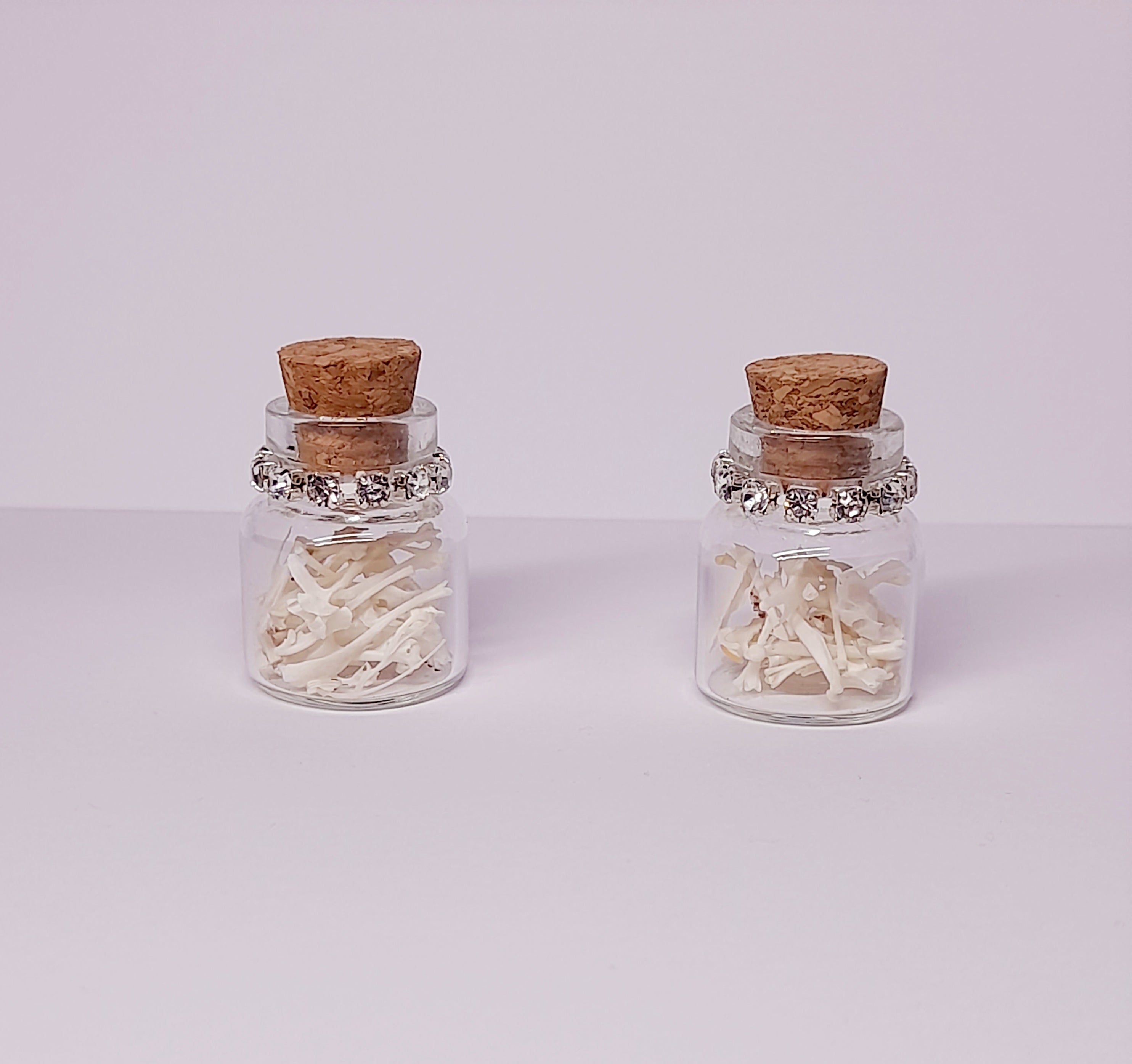Rodent Bones In Bottle