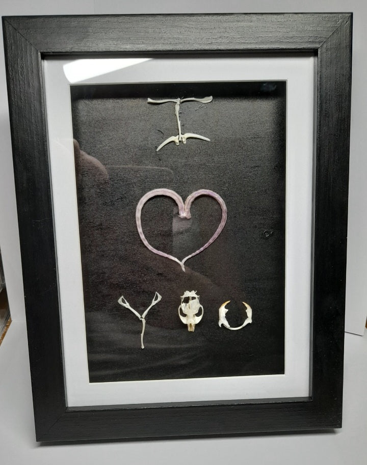 I Love You Mouse Bone & Tail Frame