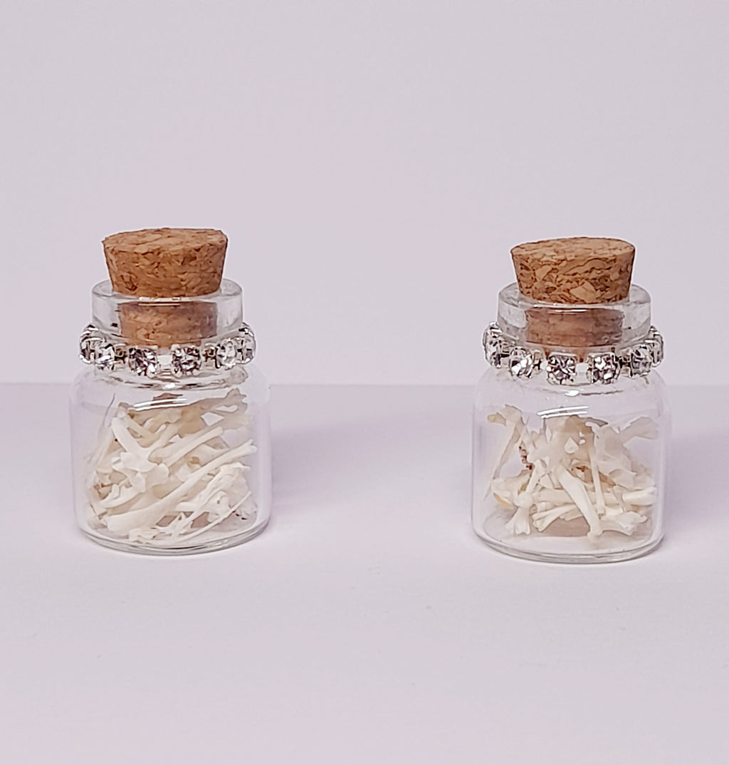 Rodent Bones In Bottle