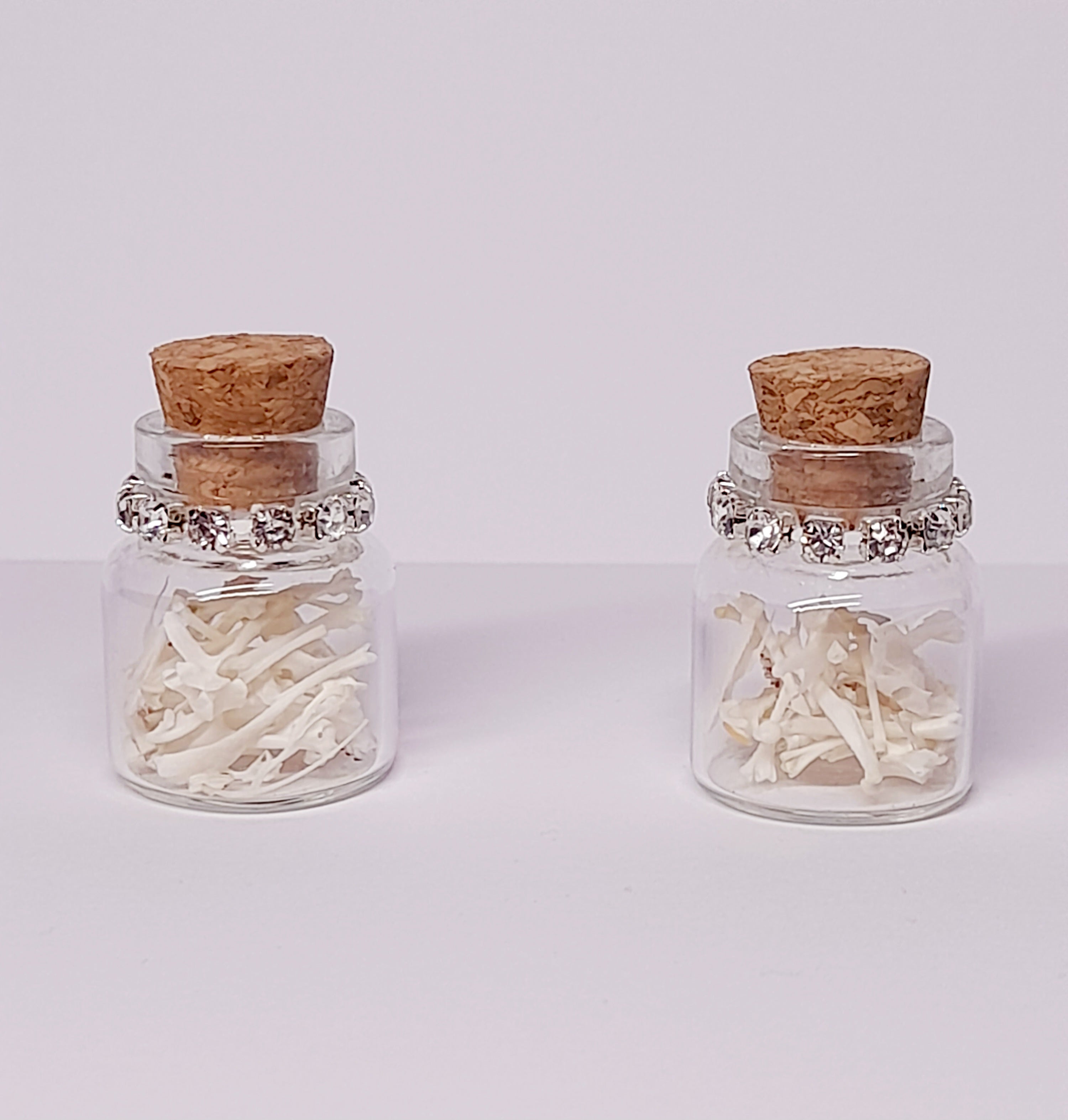 Rodent Bones In Bottle